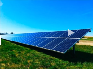 section=”kadence_customize